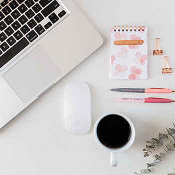 贪吃的猫吃瓜,贪吃猫咪的瓜果盛宴