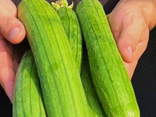 讲吃瓜的视频,跟随视频一起品尝生活百态