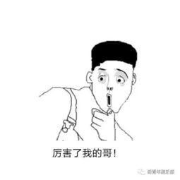吃瓜小片警日常,揭秘日常警界趣闻