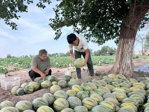 德国骨科年度吃瓜,盘点那些让人“吃瓜”的骨科新闻与趣事