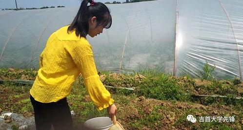 吃瓜原则不问,那些你不知道的幕后故事