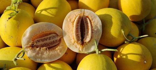 每天都吃蜜瓜,甜蜜生活每一天