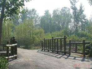 吃瓜沙河公园,吃瓜群众的欢乐聚集地