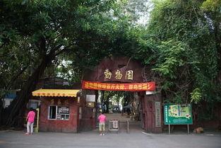 吃瓜沙河公园,吃瓜群众的欢乐聚集地