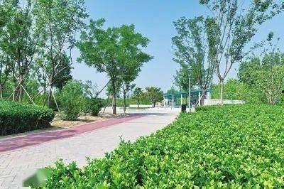 吃瓜沙河公园,吃瓜群众的欢乐聚集地