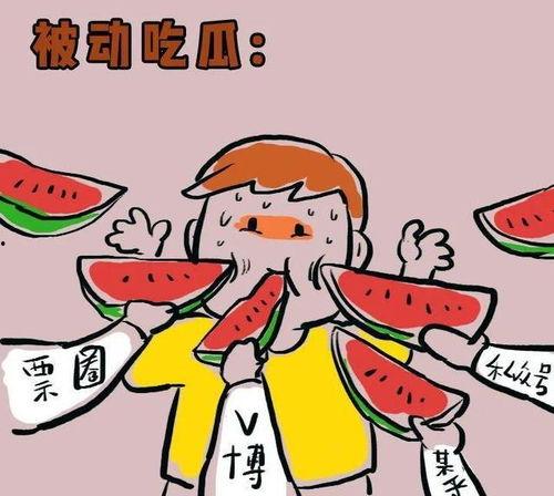 天天吃瓜什么梗