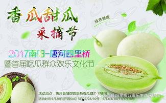 年底大聚会吃瓜,一场热闹非凡的吃瓜盛宴