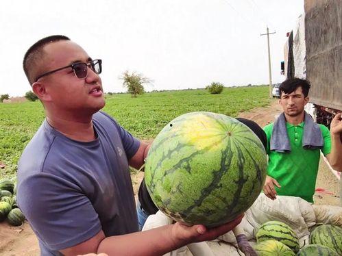 吃瓜最后附照片,照片背后的故事
