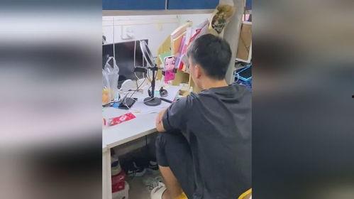 宿舍吃瓜视频全部