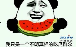 网络吃瓜是意思,揭秘虚拟世界的围观文化