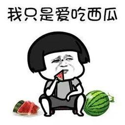 你是在吃瓜吗,揭秘“吃瓜群众”背后的真相与趣味