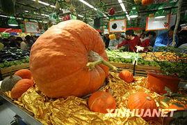 巨型太空瓜怎么吃,巨型太空瓜的食用方法揭秘