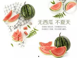 郑州吃瓜文化传播,揭秘城市里的“瓜田”盛景