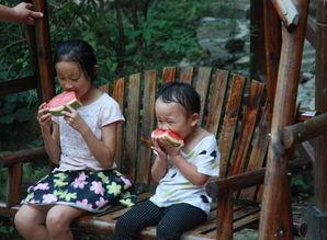 河南吃瓜阿姨,揭秘民间美食背后的故事