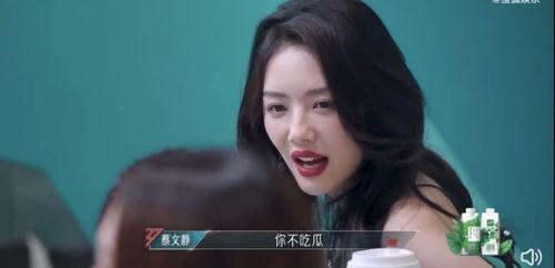 蔡文静恋情吃瓜,甜蜜互动引网友热议，揭秘背后的爱情故事