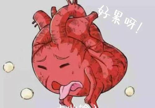 胰腺炎病人可吃洋瓜吗,洋瓜可否食用？