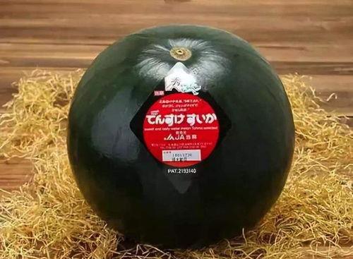 翻身吃瓜张大贵,张大贵的逆袭之路