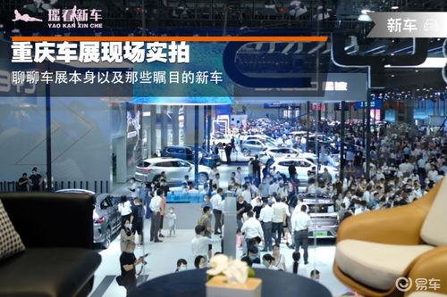 重庆车展吃瓜,明星云集，笑料百出，车展背后的趣味故事