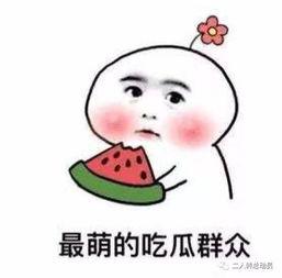 带你吃瓜玩忍者,带你领略“吃瓜玩忍者”的独特魅力