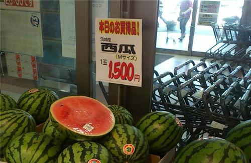 吃瓜商行,瓜界传奇背后的故事