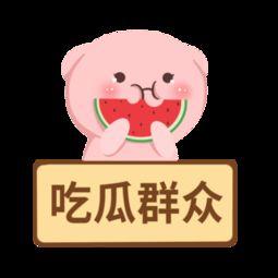 吃瓜群众模版,吃瓜群众视角下的明星幕后故事