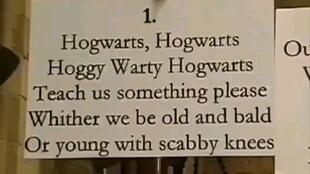 HP 我在霍格沃茨吃瓜,揭秘魔法学院里的那些吃瓜趣事