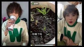 大皇子吃瓜,宫廷秘闻背后的真相揭晓