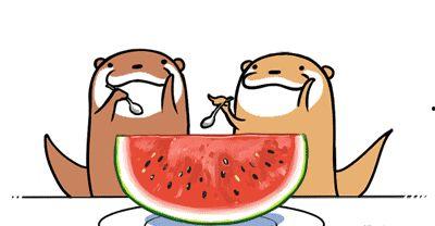 吃瓜顺序看人品,一窥人品百态