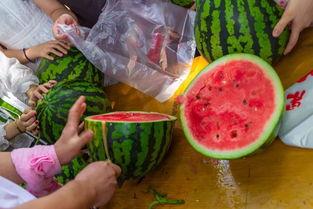 各界吃瓜视频,揭秘各界热门视频背后的故事