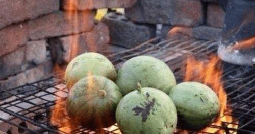 吃瓜奇葩鉴赏,奇葩鉴赏大揭秘