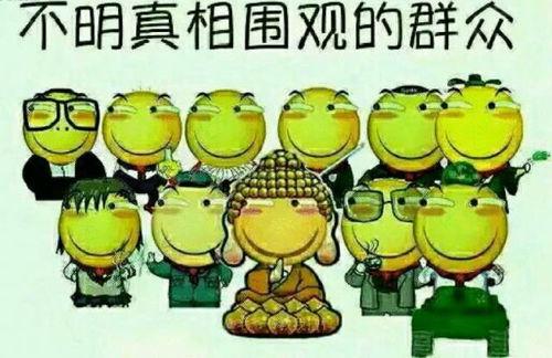 吃瓜不如吃瓜下一句怎么说,揭秘瓜界新潮流