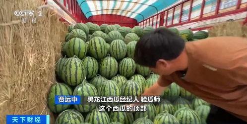 王子明吃瓜,揭秘娱乐圈背后的那些事儿