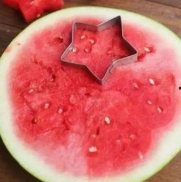 吃瓜吐籽高手,揭秘吃瓜吐籽的技巧与奥秘