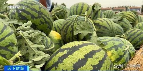 吃热熟瓜,热熟瓜果的清凉诱惑