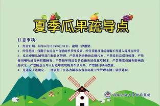 吃瓜群众日记2019,吃瓜群众日记里的年度风云录