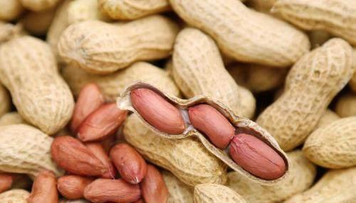 吃花生不吃瓜,品味花生，拒绝瓜果诱惑