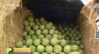 瓜货吃咸阳,咸阳古城的甜蜜记忆