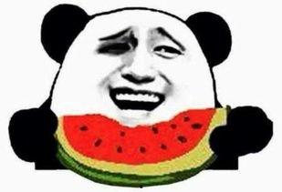 极品的吃瓜群众,极品吃瓜群众的狂欢盛宴