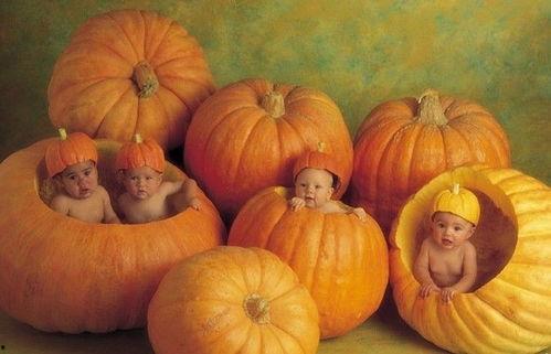 婴儿吃土瓜,意外事件引发的营养与健康关注