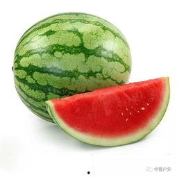 奉化幼师吃瓜最新,奉化幼师吃瓜事件背后的真相揭秘