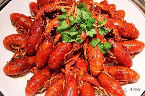 吃蜜瓜能吃龙虾吗