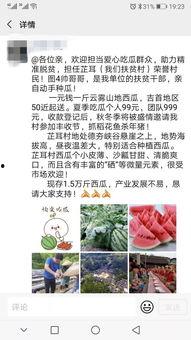 邀请他人吃瓜,邀请好友共享美味与欢乐