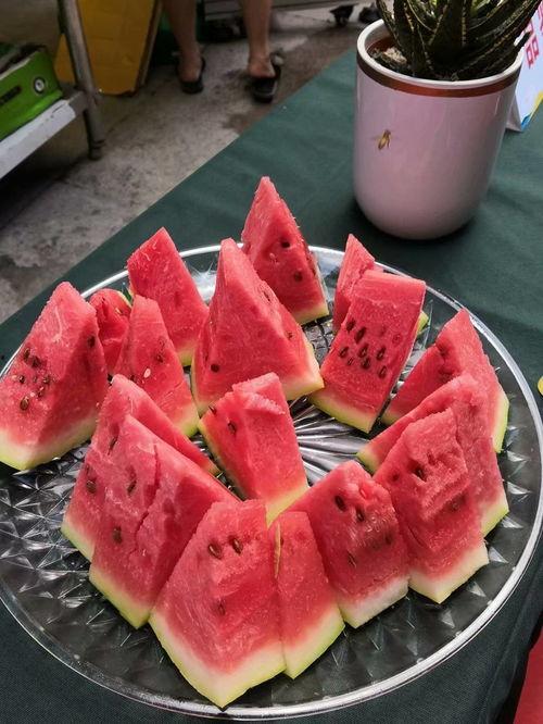 山西吃瓜比赛,瓜王争霸，舌尖上的狂欢盛宴