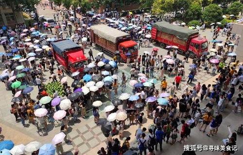 各大高校吃瓜网,揭秘各大高校吃瓜网背后的热点事件