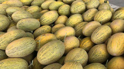 成人吃瓜链接,揭秘成人吃瓜背后的秘密与乐趣