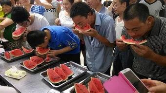 禹城市吃瓜,探寻当地特色美食之旅
