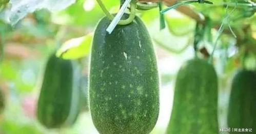 药吃瓜了,揭秘“根据药吃瓜了”的养生智慧