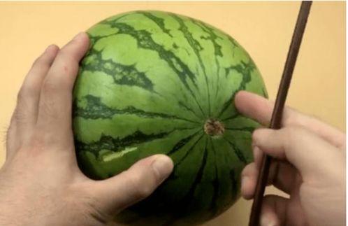 吃瓜30载,见证娱乐圈风云变幻