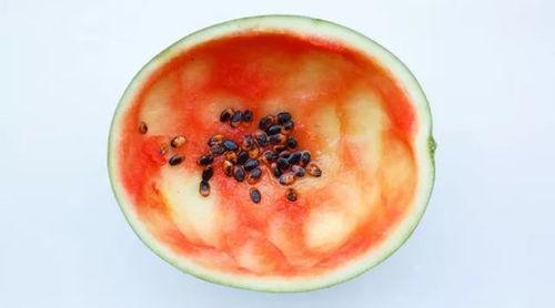 勺子吃瓜从哪里开始吃的,勺子吃瓜的奇妙旅程