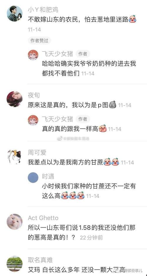 每日吃瓜汇总毛不易,每日吃瓜，乐享生活
